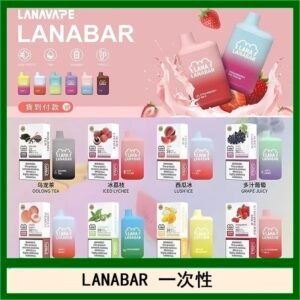 LANA BAR可充电一次性電子煙霧化5000口(3.0%)