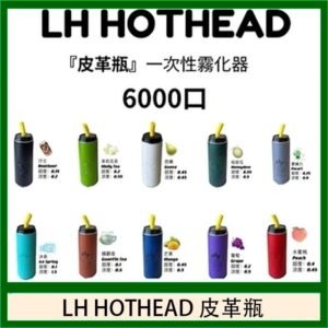 LH HOTHEAD皮革瓶電子煙可充電6000口一次性