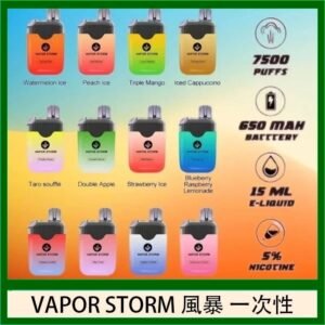 Vapor Storm風暴電子煙7500口（5%）一次性