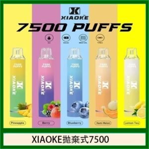 梟客XIAOKE一次性電子菸拋棄式7500口
